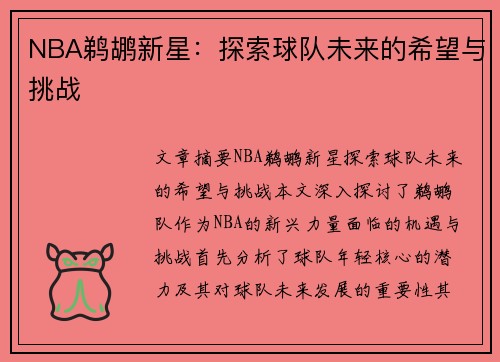 NBA鹈鹕新星：探索球队未来的希望与挑战