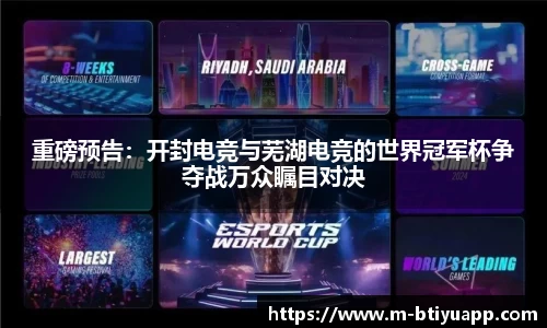 bsports体育