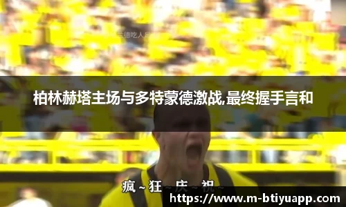 bsports登录入口